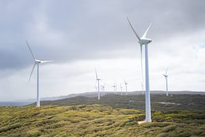 Eco wind turbines